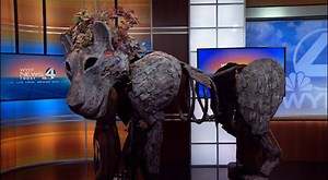 5.5K views · 34 reactions | Remember this (not so) little putty tat? He's returning to the stage for The Academy of Arts Ministries Logos Theatre's production of "Prince Caspian." Zachary Johnson and Noah Stratton (and Aslan too!) stopped by with the details: | Myra Ruiz | Facebook