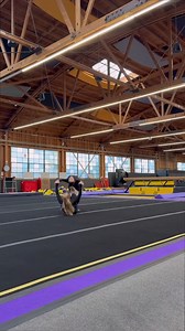 Crash central station 💁‍♀️💁‍♀️ | Sophia Campana