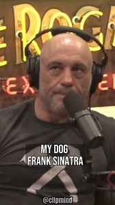 1.3M views · 10K reactions | JOES CRAZY PITBULL STORY #jre #joerogan #jreclips #animals #dogs #pitbull #dog | SundayReel | Facebook