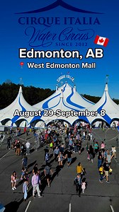 256K views · 4.5K reactions |  Cirque Italia is coming to Cambridge, ON from June 20-23! Kids Get In FREE with promo code 'FACEFREE' online (limited offer: one free child per paying adult in levels 2 & 3). Handicap seating and more info: call 941-704-8572. ***Strobe lights used during performance*** | Cirque Italia - Gold Unit | Facebook