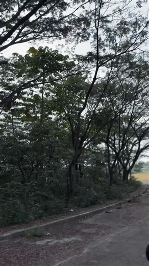 Exploring the Kawasaki Ninja Bike: Features & Specs