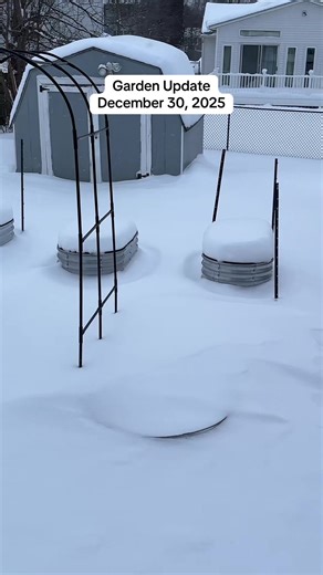 The garden may be sleeping, but it’s still beautiful under a fresh blanket of snow ❄️🌿 #WinterGarden #SnowyGarden #GardenUpdate #RaisedGardenBeds #GardenInWinter
