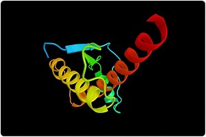 Overview of Prion Diseases