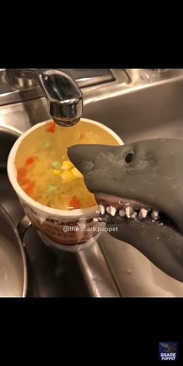 Shark Puppet makes noodles! 🤣🍜