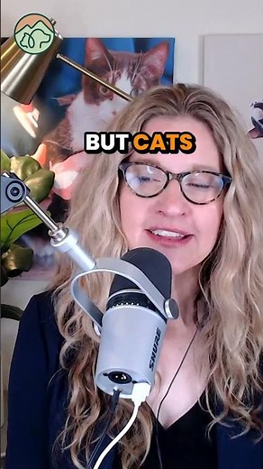 Is your cat pooping outside the litter box? 🐱 💩