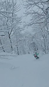 49K views · 896 reactions | Excellent morning session. Still dumping. Actually it's not going to stop for days. | Hakuba | Facebook