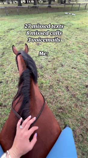 Sometimes your trainer needs 15 mins of peace and quiet so we can keep smiling at the back gate