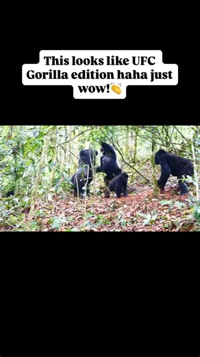 7.8K reactions · 61 shares | Which African Country is Famous for...