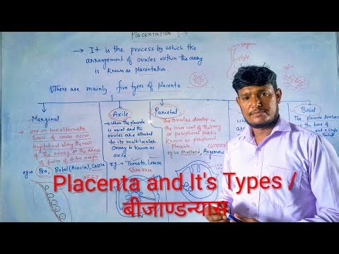 Placenta and It's Types in Flowering plants Class 11 NEET, JET, NET, PGT,TGT Competitive Exams