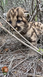 1.7M views · 57K reactions | Since 2002, National Park Service...