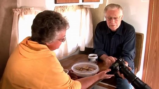 2015 Scamp 13ft Standard Travel Trailer