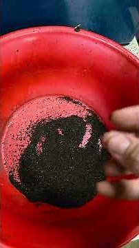 Vermicompost Filtration Masterclass