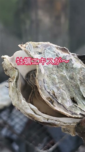 釧路と言えば牡蠣 最強のエキスが～ #北海道 #釧路 #キャンプ #牡蠣 #かき #グルメ