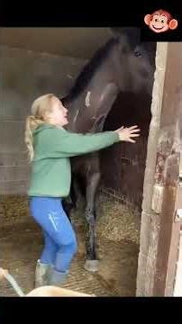 **From Fails to Comedy Stars 🐎🤣 Funniest Horse Clips**....[49]