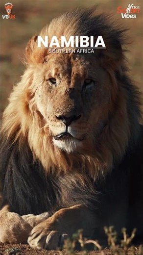 Southern Namibia Adventure 🇳🇦✨ Epic Desert Vibes! #shorts #travelmongolia #travelshorts #namibia