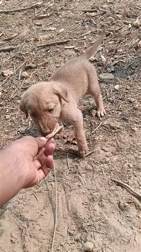 😔😔😔 #yt #nature #green #love #song #travel #velly #mountains #raone0