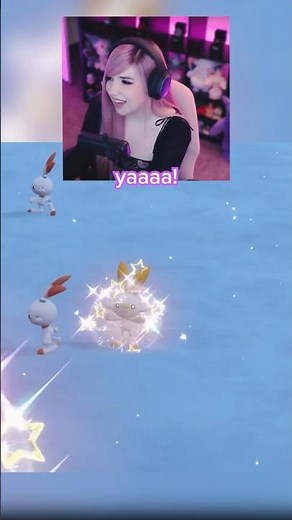 shiny RARE mark scorbunny 🐰🌟 in pokémon scarlet and violet #pokemon #shinypokemon