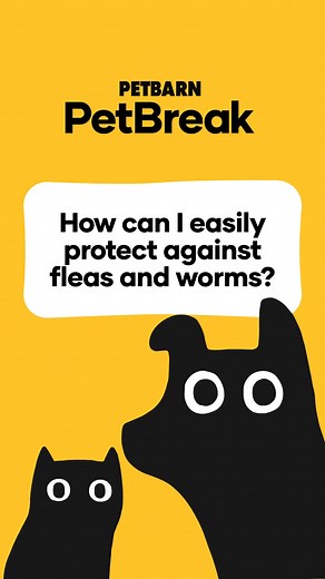 291K views | Advocate's easy to use monthly spot-on provides comprehensive protection against a range of parasites and kills fleas on contact. Celebrate Advocate's 21st birthday with member savings of up to 40% off Advocate 6 packs at Petbarn. *T&Cs Apply. Savings based on non-member price & may differ online, in App & in-store. Stock varies by store. Read product leaflet for full instructions & safety directions. | Petbarn | Facebook