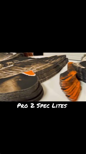 #pro2 #pro2lite #realgeese #waterfow