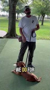 Family Dog Training: Prepare Your Dog for Baby’s Arrival!