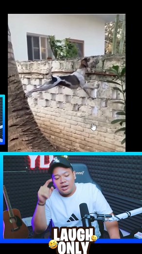 107K views · 6.3K reactions | Ajg kepo ges #yourdudh #reaction #meme #komedi #topreaction | Video Hiburan | Facebook