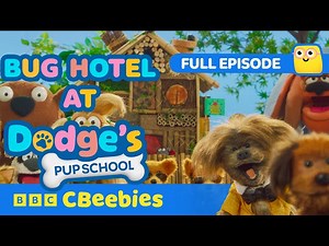 Dodge's Pup School | Very Important Pup 🐶 | FULL EPISODE | CBeebies - Videos For Kids