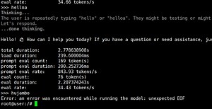 Run llm stuck while use jetson thor