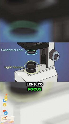 Microscope Explained in 30s! | شرح المجهر في 30 ثانية!