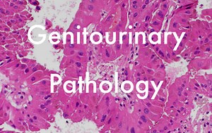 GU Pathology — PathElective