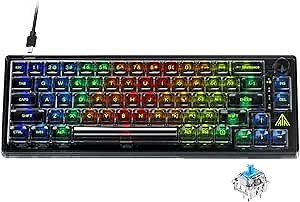 SK966 Black 65% Wired Mechanical Keyboard with RGB Backlit, Arrow Keys, Compact 68-Keys Hot Swappable, USB Wired Gaming Keyboards Blue Switch