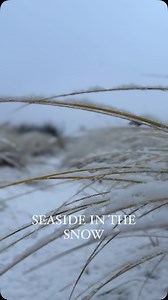 3.7K views · 573 reactions | Visit Seaside, Oregon on Reels | Facebook