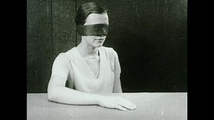 Reactions In Plants And Animals