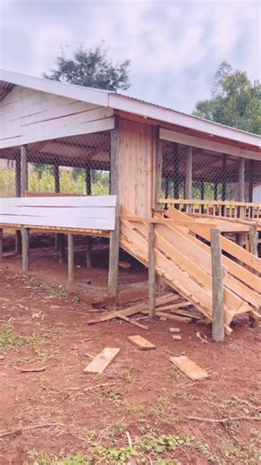 📍 Project Showcase | Imo State, Nigeria We’re excited to share the successful completion of a 100-goat capacity housing facility, now fully constructed and ready for stocking! Designed for optimal ventilation, space efficiency, and ease of management, this project marks a significant step forward for our client’s livestock ambitions in Imo State. We’re committed to delivering quality infrastructure that supports sustainable farming and long-term profitability. For order placements you can reach