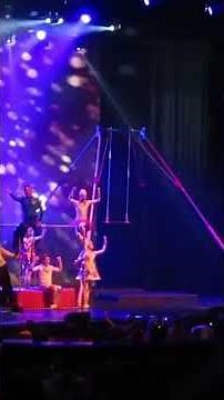 The Wiggles Reunion Live Show - Original Wiggles #shorts