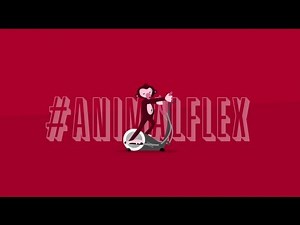 Animalflex