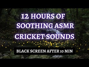 Cricket Noise To Help You Sleep - 12 Hr