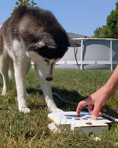 11M views · 3.5K shares | Kira is learning how to use the fun little...