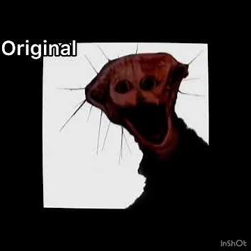 The Boiled One Phenomenon Original and Reversed message