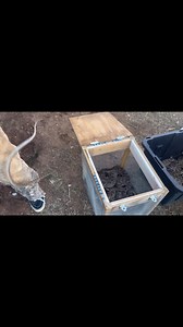 Big Country Snake Removal on Reels