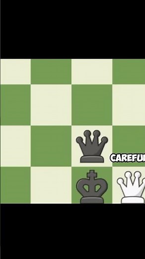 TERRORIST ON THE CHESS BOARD | Chess Memes #23