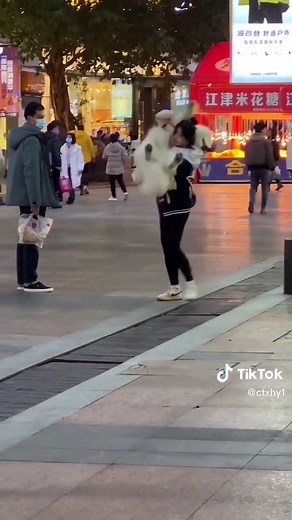 拥有这样一只狗真的会把我气死 #creativeinspiration #萨摩耶 #samoyed #dog #cutepet