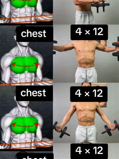 💯💪Four Effective Exercises for Training the Chest Muscles #fitness #chest #muscles #dumbbells #gymmotivation