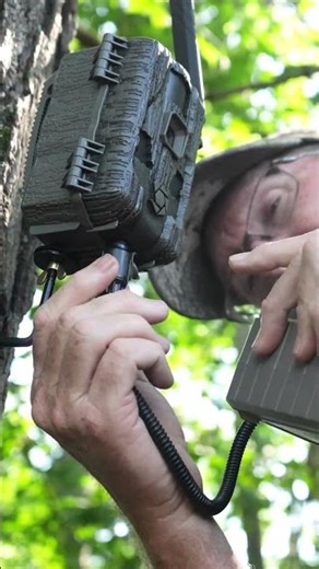 Setting out Scouting Cameras and External Batteries