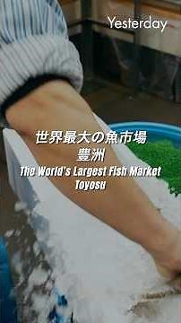 Toyosu, the world's largest fish market | Tokyo