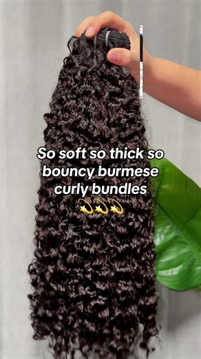 So soft so thick so bouncy Burmese curly bundles 💫💫#fypシ #vipbeautyhair #tiktokmademebuyit #tiktokjumpsalestarter #valentinesday #hairtok #vipbeautyburmesecurlybundles #burmesecurly