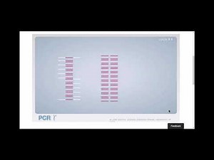 Labboratorio Virtual PCR