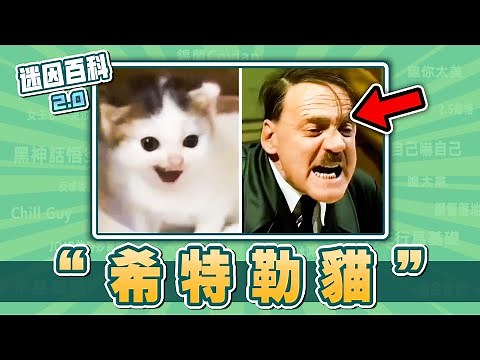 最德意的一集⚡⚡⚡！“希特勒貓”是什麽迷因？【迷因百科】#希特勒貓 #邪惡小鼻嘎 #咚了個冬 #貓Meme #希特勒 #貓梗 #meme #迷因 #梗