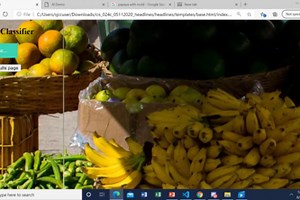 Bacterial Fruit Detection