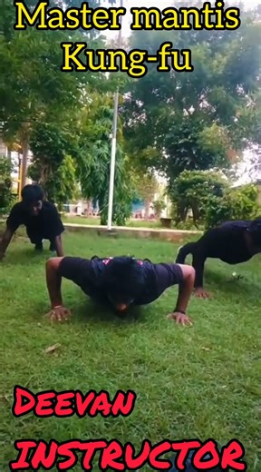 master mantis kung-fu