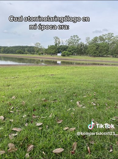 Exploring the Role of an Otorrinolaringólogo